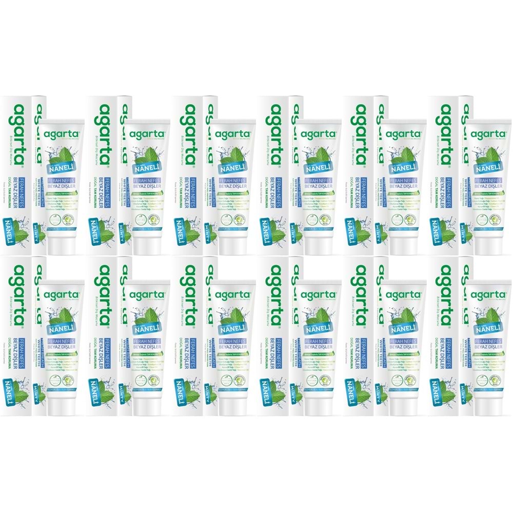 Agarta Doğal Diş Macunu 100ML Naneli (12 Li Set)