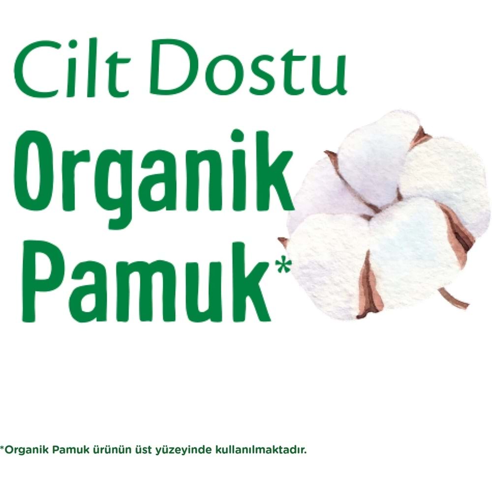 Molped Pure&Soft Hijyenik Ped Gece 180 (6PK*30) Adet Mega Pk