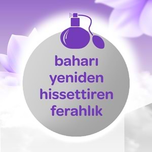 Dalin Bebek Kolonyası 150ML Bahar Tazeliği (Manolya-Ylang,Ylang-Amber Kokulu) (24 Lü Set)