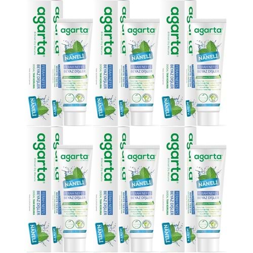 Agarta Doğal Diş Macunu 100ML Naneli (6 Lı Set)