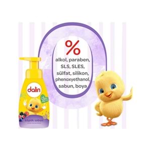 Dalin Köpük Sabun 200ML Orman Meyveli (Çoçuklarınız için)