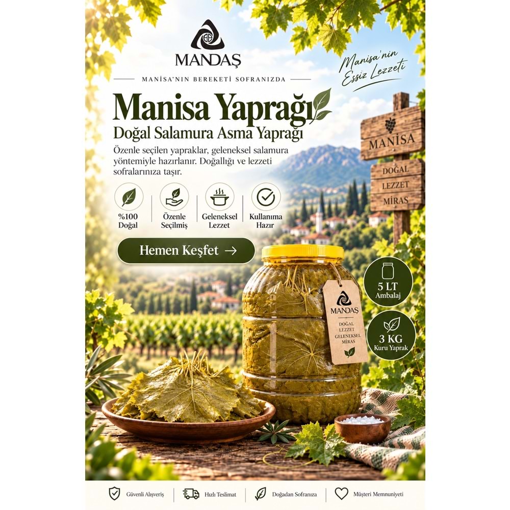 Mandaş İnce Yaprak Sarımlı Asma Üzüm Yaprağı 5 LT (1 BİDON) 2026 Sezon