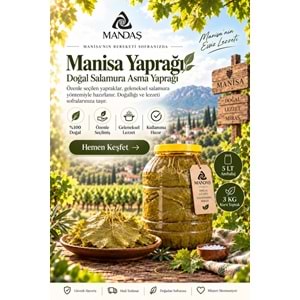 Mandaş İnce Yaprak Sarımlı Asma Üzüm Yaprağı 5 LT (1 BİDON) 2026 Sezon