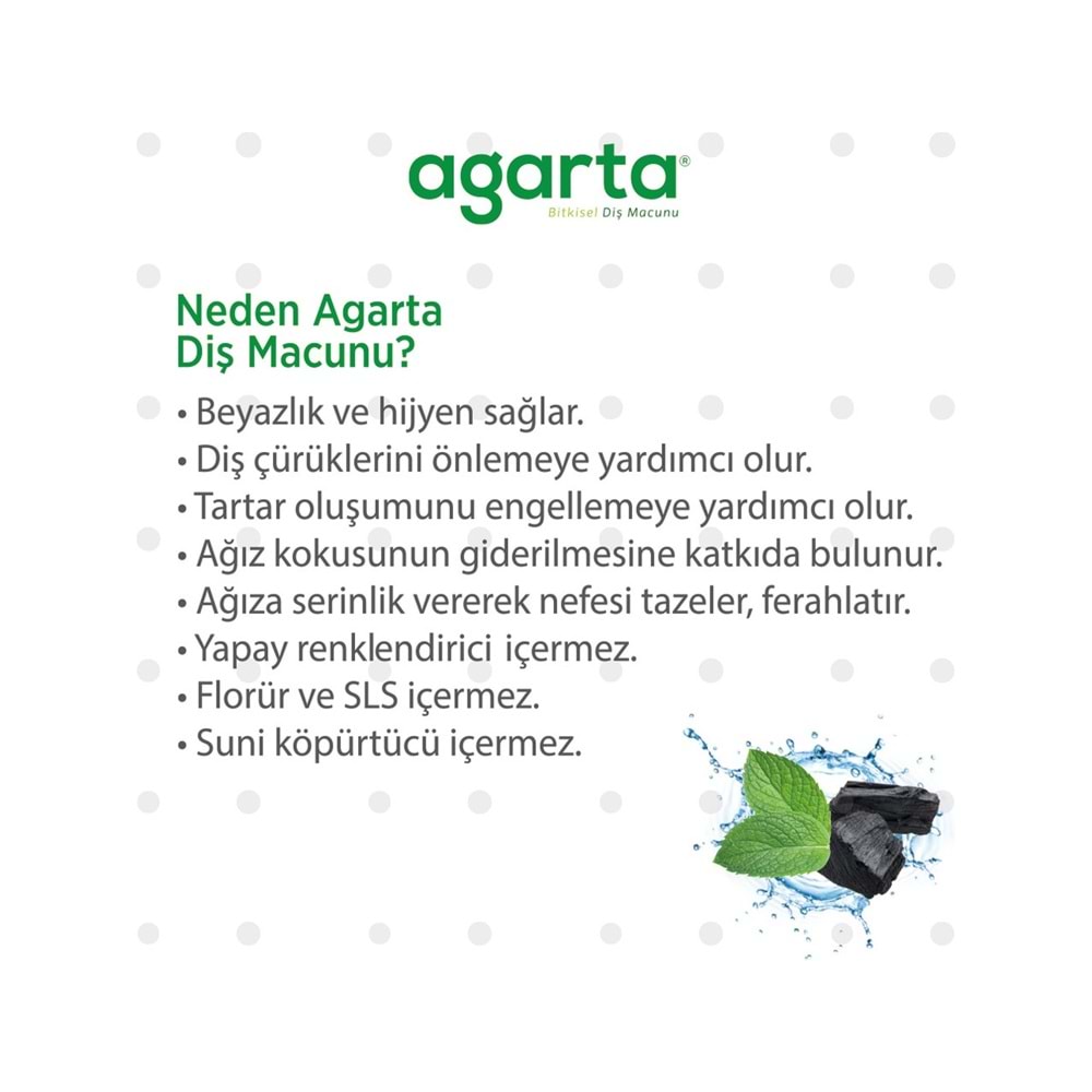Agarta Doğal Diş Macunu 100ML Aktif Karbonlu (12 Li Set)