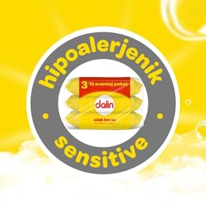 Dalin Islak Havlu Mendil Klasik 56 Yaprak 15 Li Set (840 Yaprak)