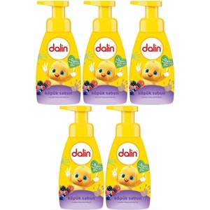 Dalin Köpük Sabun 200ML Orman Meyveli (Çoçuklarınız için) (5 Li Set)