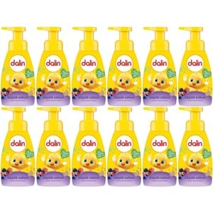 Dalin Köpük Sabun 200ML Orman Meyveli (Çoçuklarınız için) (12 Li Set)