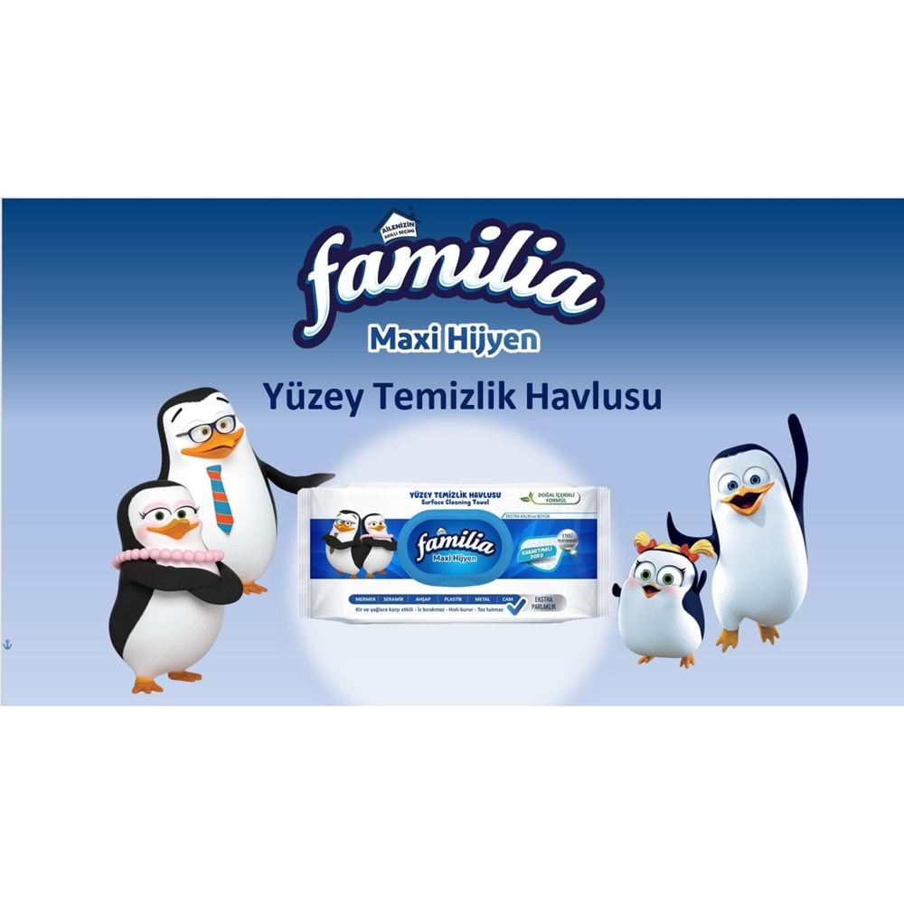 Familia Yüzey Temizlik Havlusu 96 Yaprak Maxi Hijyen Kabartma Doku Plastik Kapaklı 2 Li Set 192 Yprk