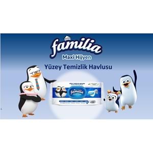 Familia Yüzey Temizlik Havlusu 96 Yaprak Maxi Hijyen Kabartma Doku Plastik Kapaklı 2 Li Set 192 Yprk