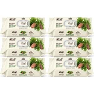 Fibril Islak Havlu Mendil 90 Yaprak Mistik Sedir Ağacı Plastik Kapaklı (6 Lı Set) 540 Yaprak