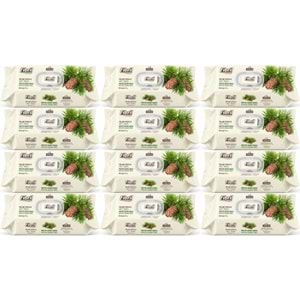 Fibril Islak Havlu Mendil 90 Yaprak Mistik Sedir Ağacı Plastik Kapaklı (12 Li Set) 1080 Yaprak