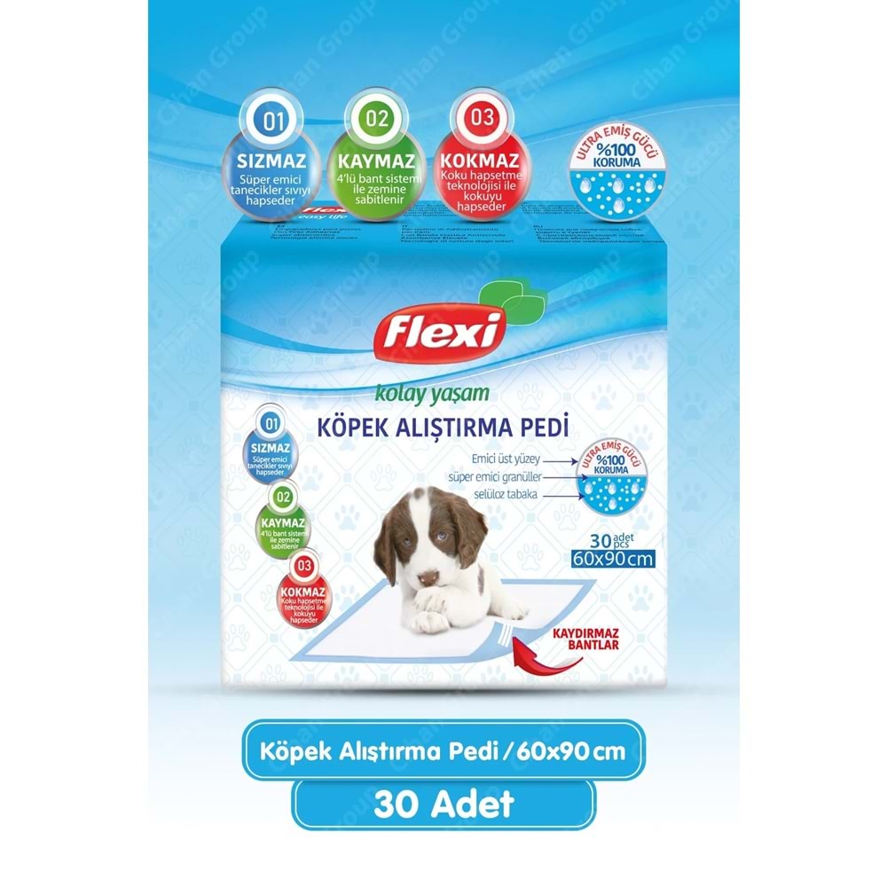 Flexi Evcil Hayvan Köpek Alıştırma Tuvalet Eğitim Pedi 60*90 CM 60 Adet