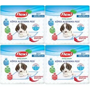Flexi Evcil Hayvan Köpek Alıştırma Tuvalet Eğitim Pedi 60*90 CM 120 Adet