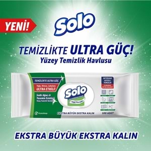 Solo Yüzey Temizlik Havlusu - Mendili 100 Yaprak Okaliptus & Çam Esintisi (3 Lü Set) 300 Yaprak